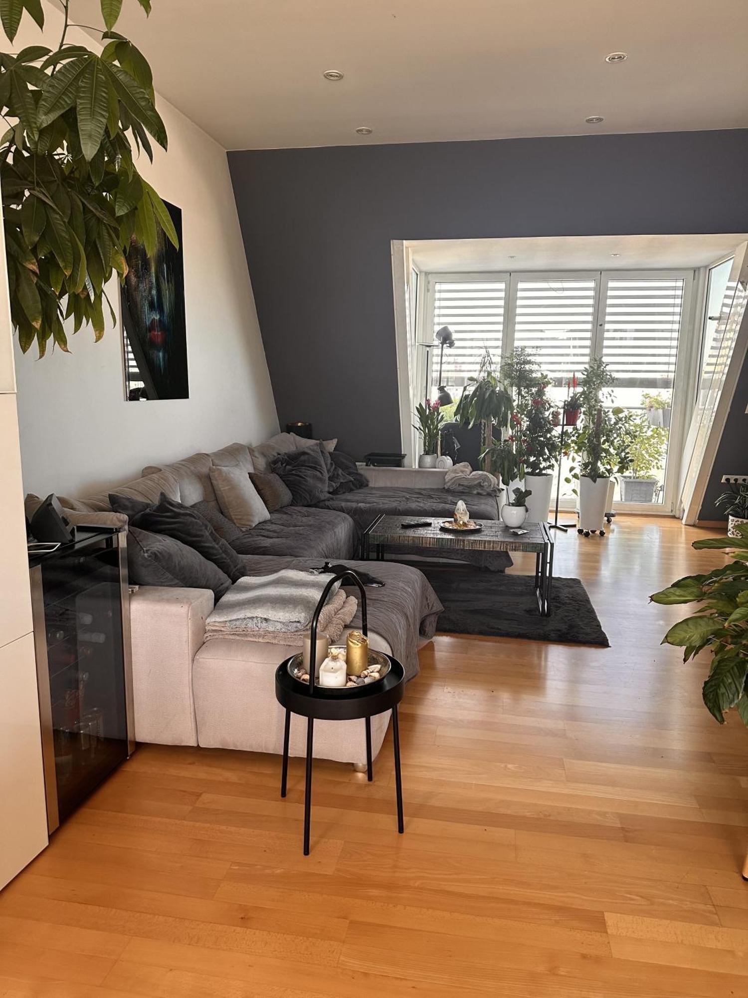 City-penthouse Mit 4 Terassen Und Whirlpool Apartment Wien